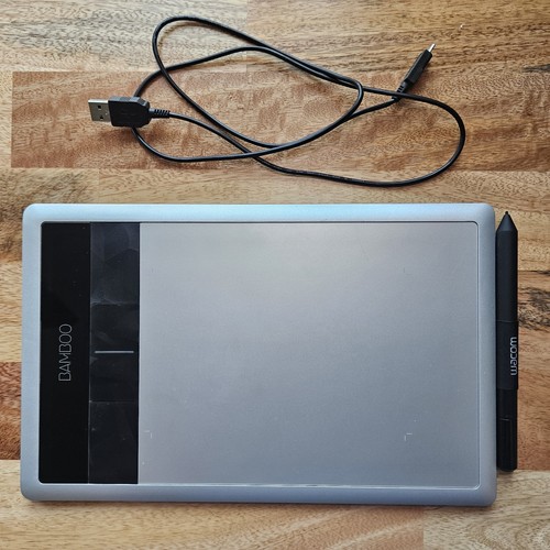Wacom penna cattura bambù - bambù, e